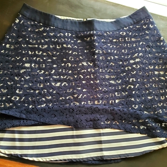 The Limited A-Line Lace with Striped Lining Skirt Size 12 - Picture 3 of 10